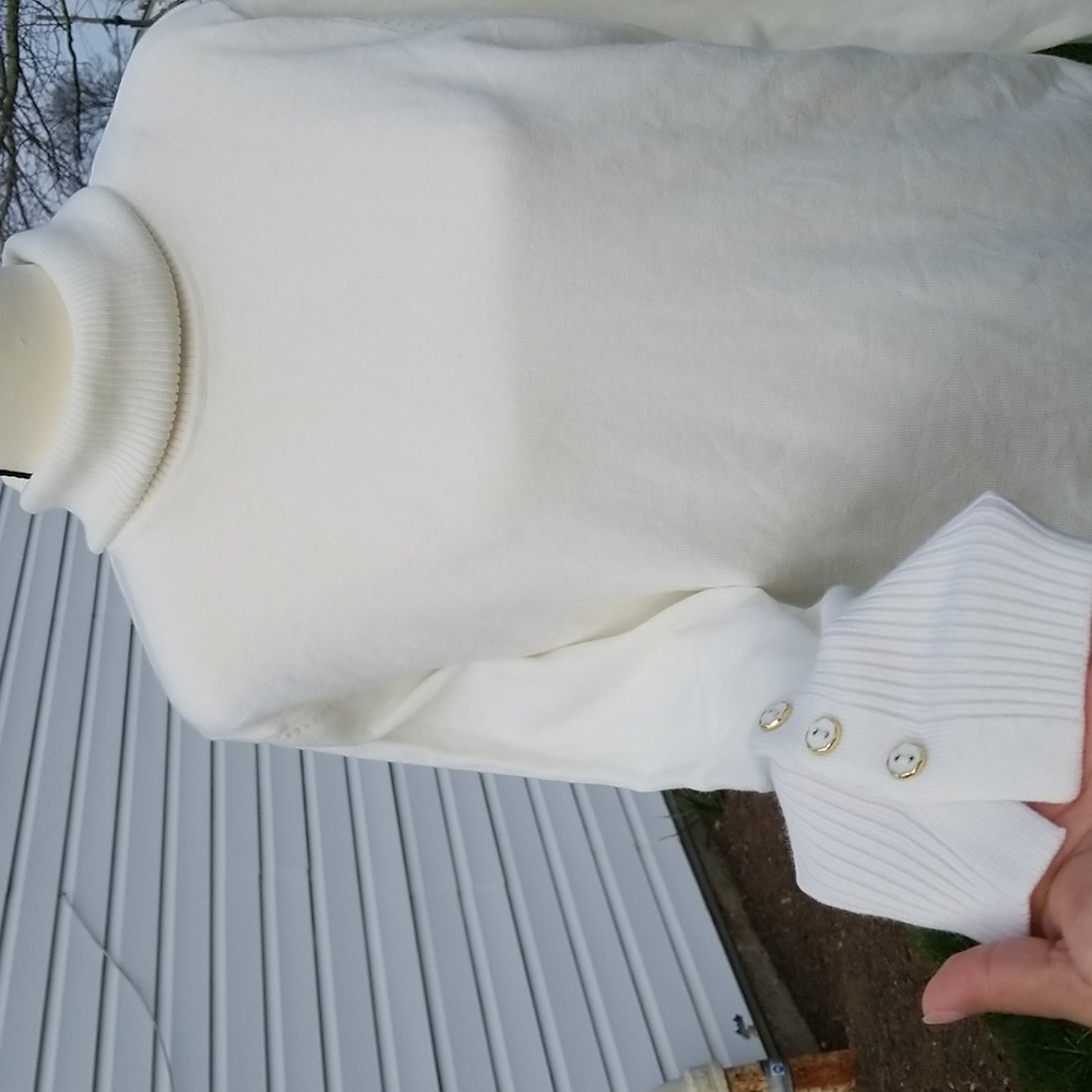 Solid Long Sleeve Turtleneck Sweater